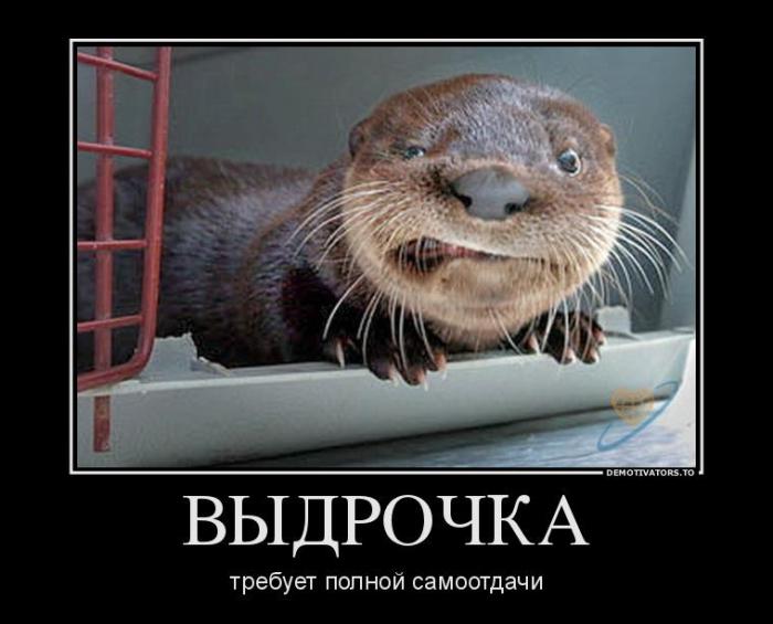 Демотиваторы (83 фото)