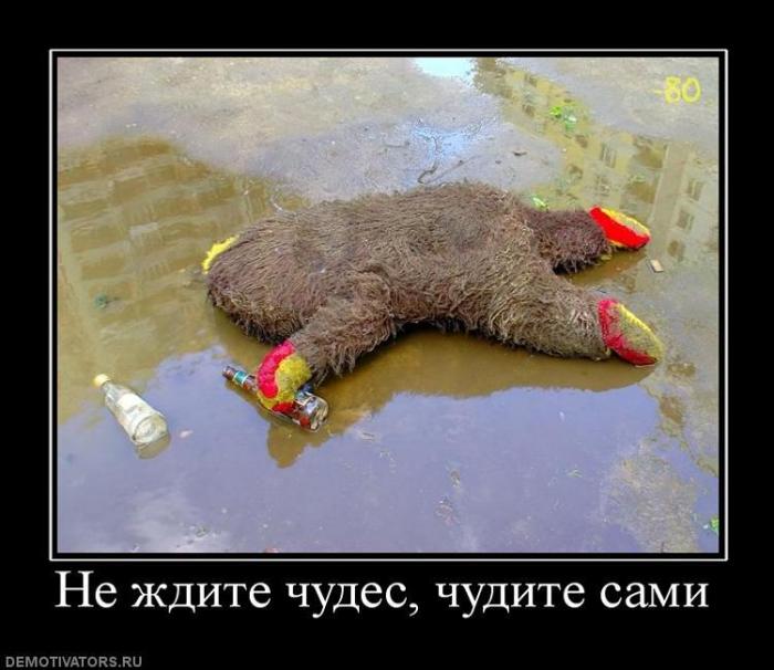 Демотиваторы (83 фото)