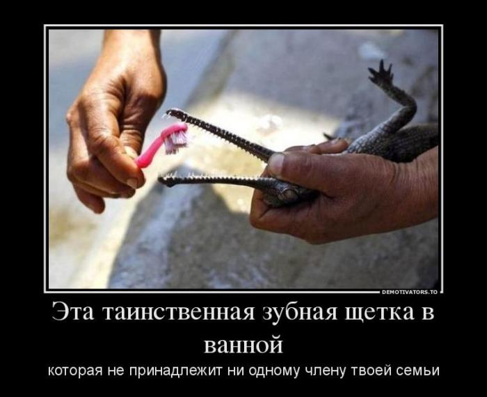 Демотиваторы (83 фото)