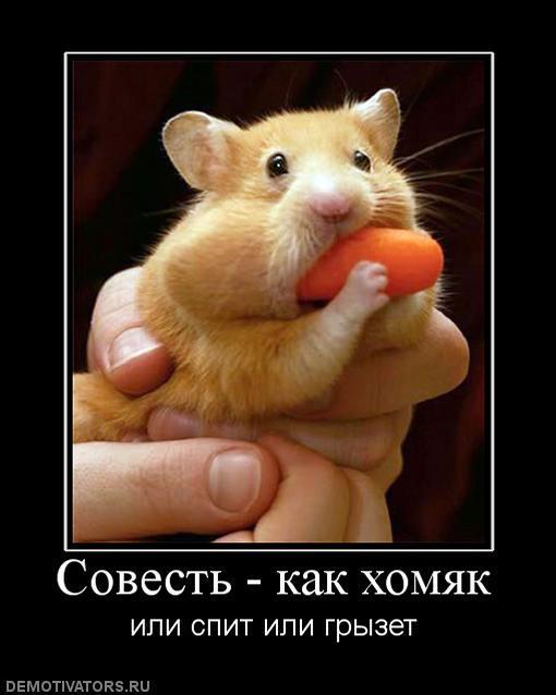 Демотиваторы (83 фото)