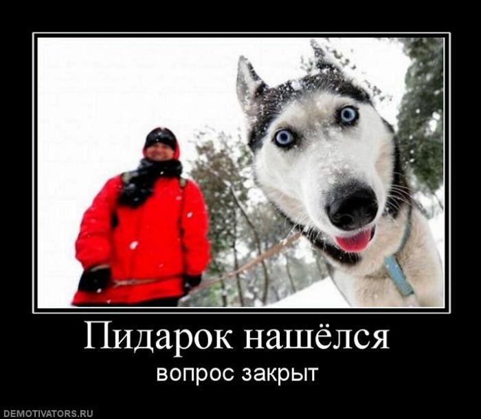 Демотиваторы (83 фото)