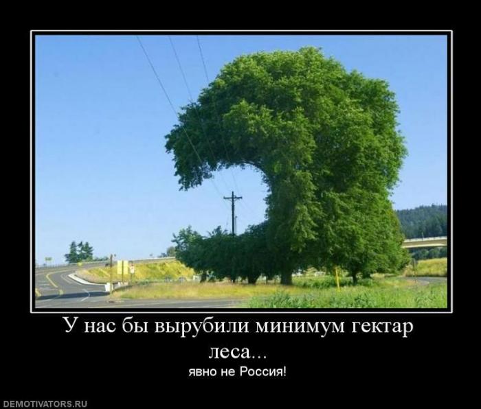Демотиваторы (83 фото)