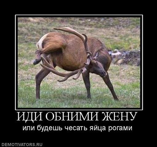 Демотиваторы (83 фото)