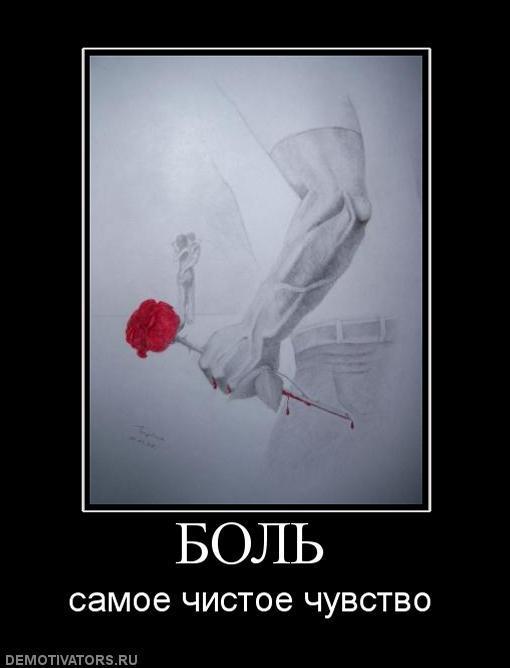 Демотиваторы (83 фото)