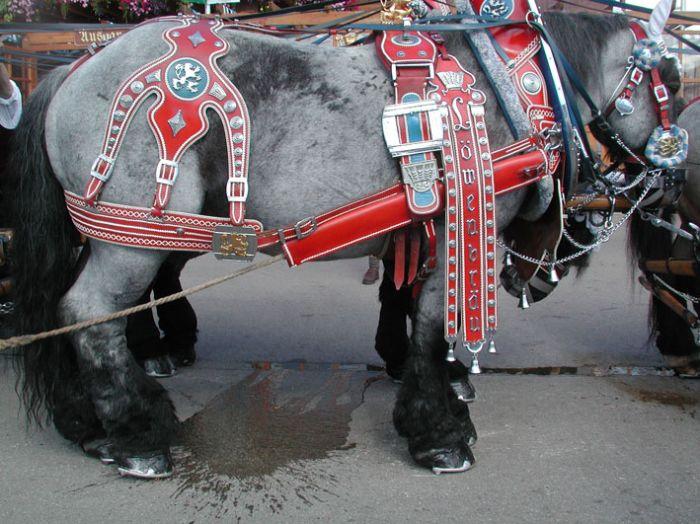 За кулисами Октобрфеста (40 фото)