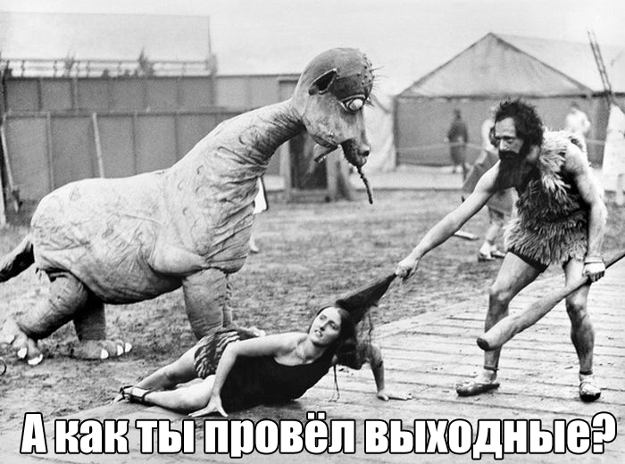 Прикольные картинки