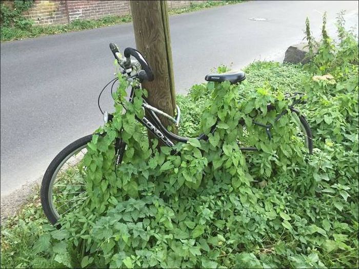 Прикольные картинки