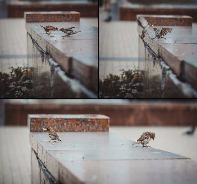 Прикольные картинки