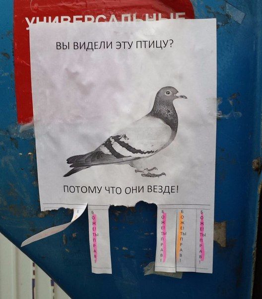 Прикольные картинки