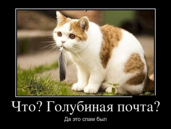 Демотиваторы