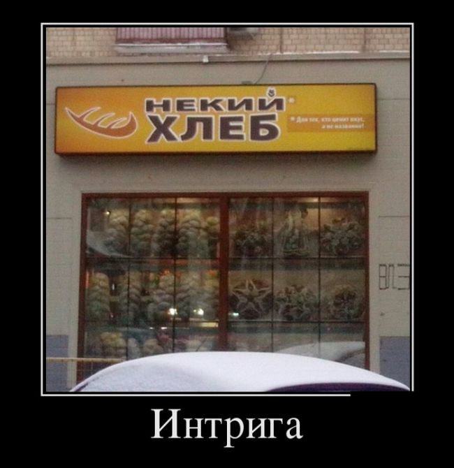 Демотиваторы