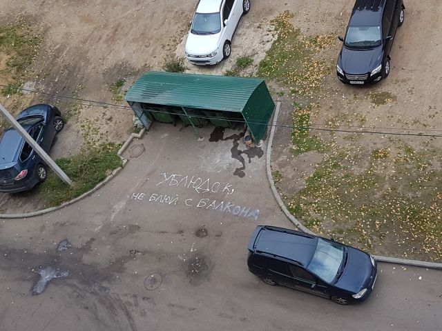 Прикольные картинки