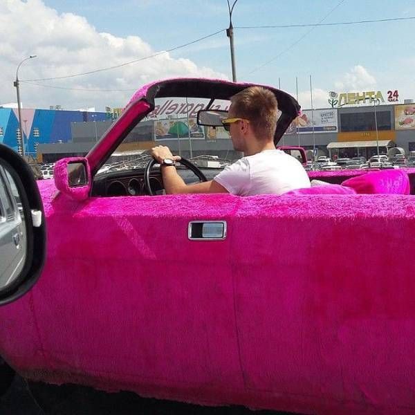 Прикольные картинки