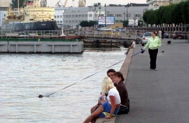 Прикольные картинки