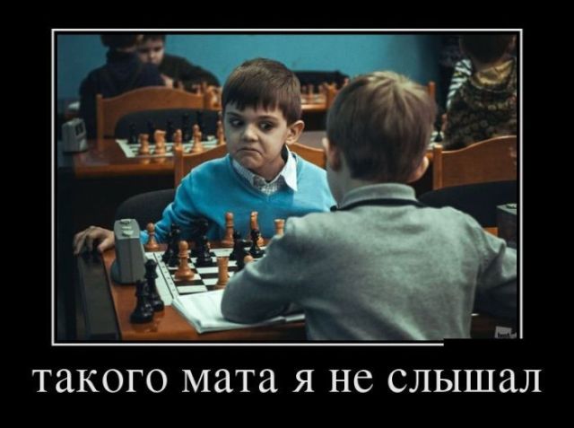 Демотиваторы