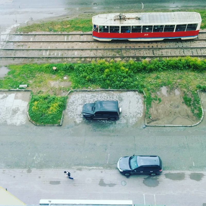 Быдлопаркованы, или я паркуюсь как олень