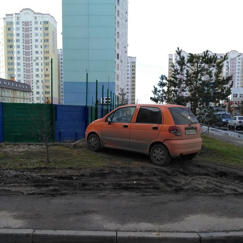 Быдлопаркованы, или я паркуюсь как олень