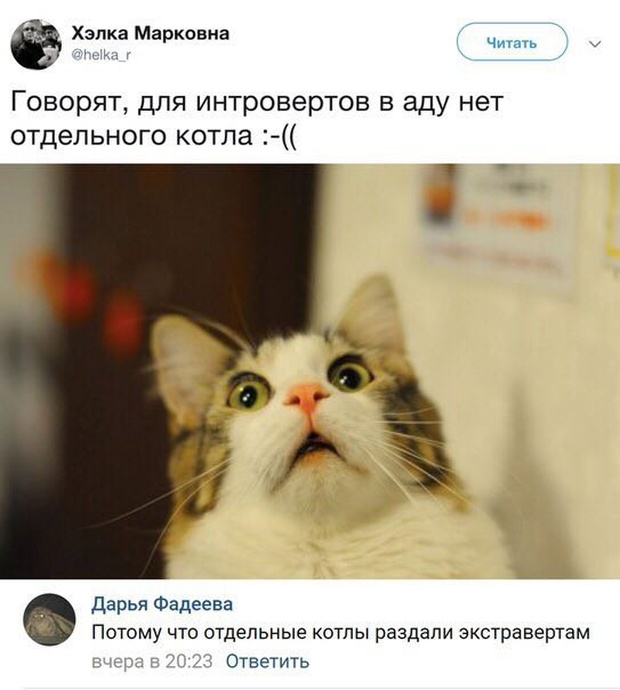 Прикольные картинки