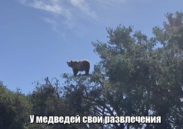 Прикольные картинки