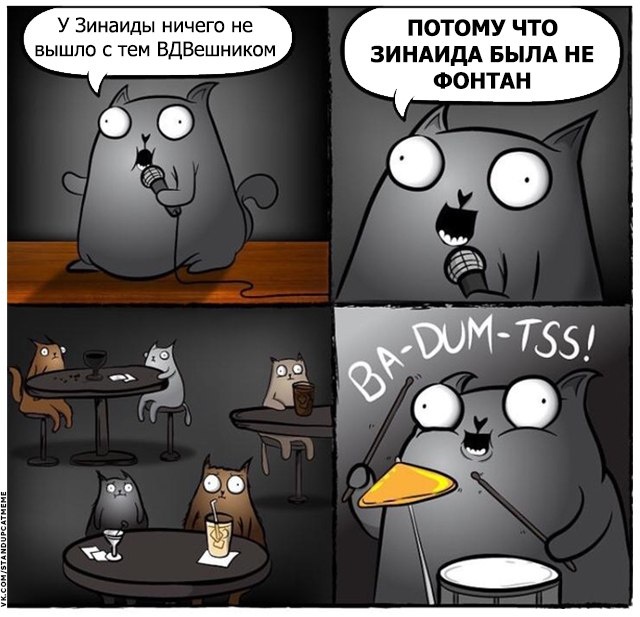 Подборка юмора и шуток от стендап-кота
