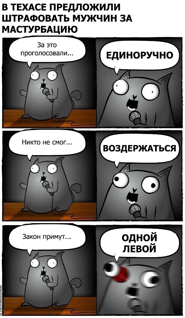 Подборка юмора и шуток от стендап-кота