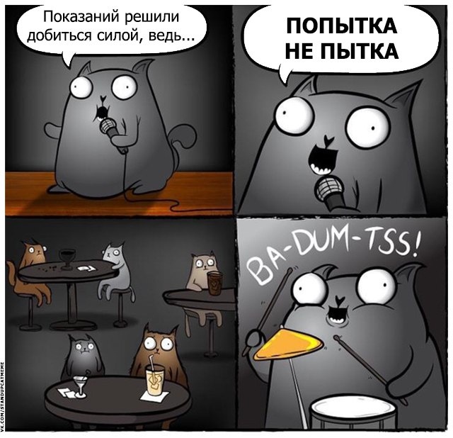 Подборка юмора и шуток от стендап-кота