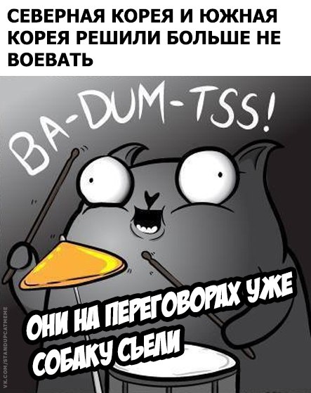 Подборка юмора и шуток от стендап-кота