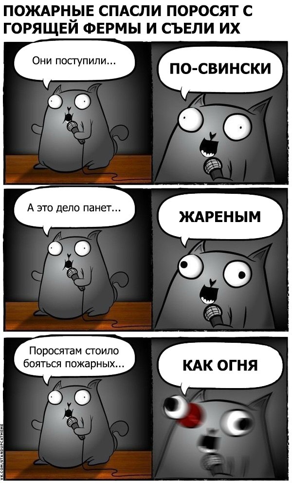 Подборка юмора и шуток от стендап-кота