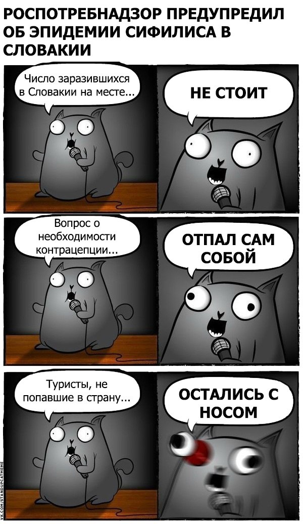 Подборка юмора и шуток от стендап-кота
