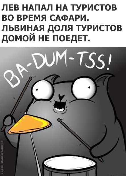 Подборка юмора и шуток от стендап-кота
