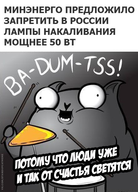 Подборка юмора и шуток от стендап-кота