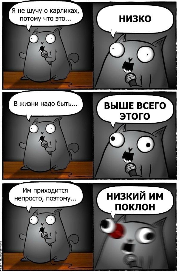 Подборка юмора и шуток от стендап-кота