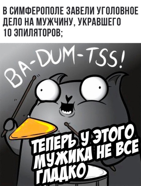 Подборка юмора и шуток от стендап-кота