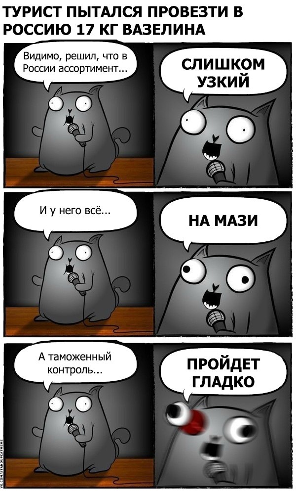 Подборка юмора и шуток от стендап-кота