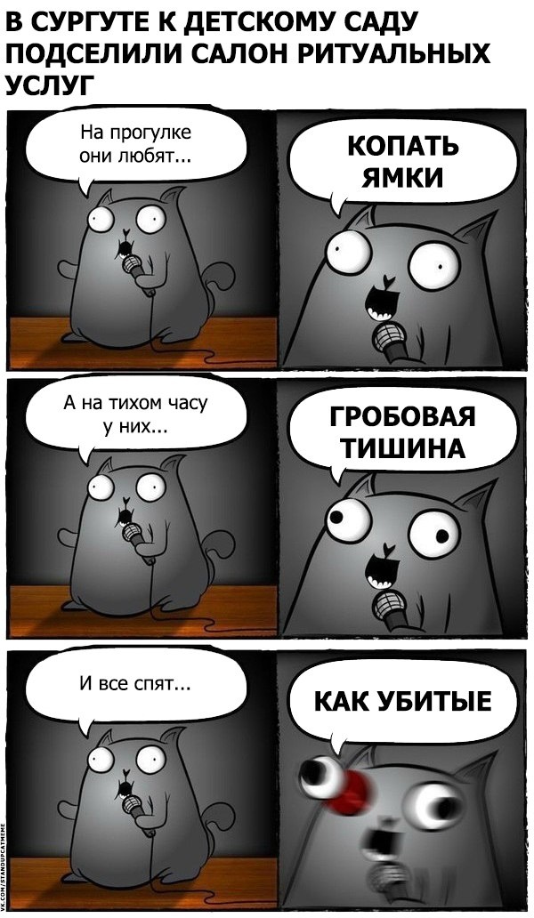 Подборка юмора и шуток от стендап-кота
