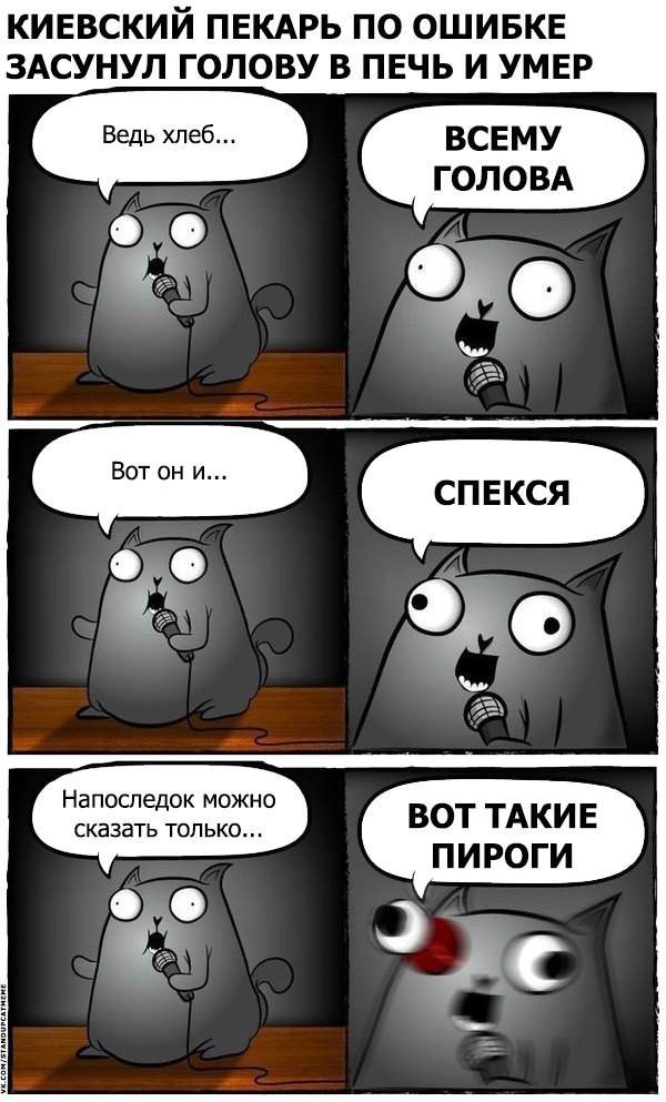 Подборка юмора и шуток от стендап-кота