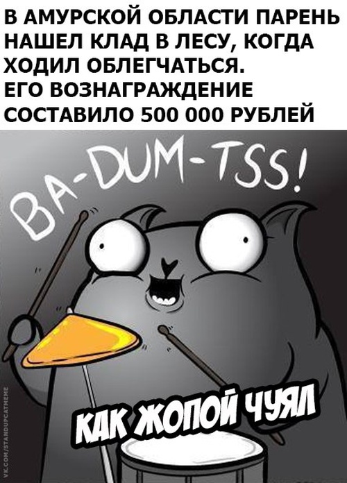 Подборка юмора и шуток от стендап-кота