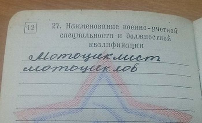 Порция картинок
