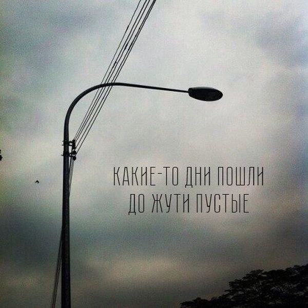 Порция картинок