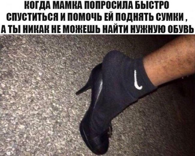 Прикольные картинки