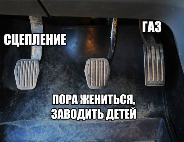 Прикольные картинки