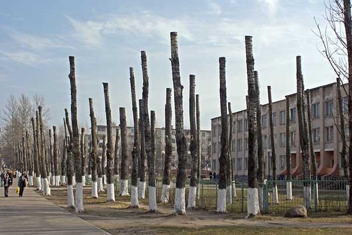 Прикольные картинки