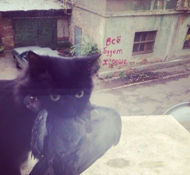 Оптимистичная подборка