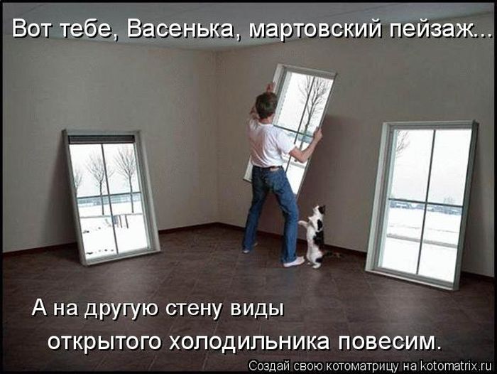 Лучшие котоматрицы недели