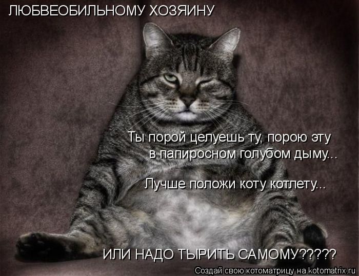 Лучшие котоматрицы недели