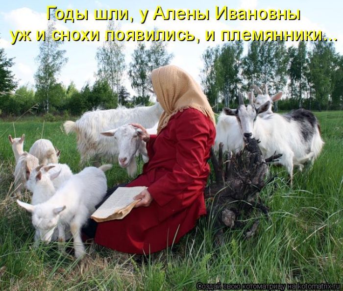 Лучшие котоматрицы недели