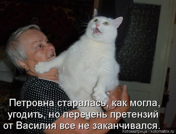 Лучшие котоматрицы недели