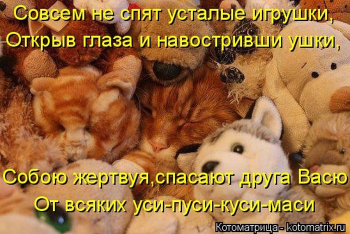 Лучшие котоматрицы недели