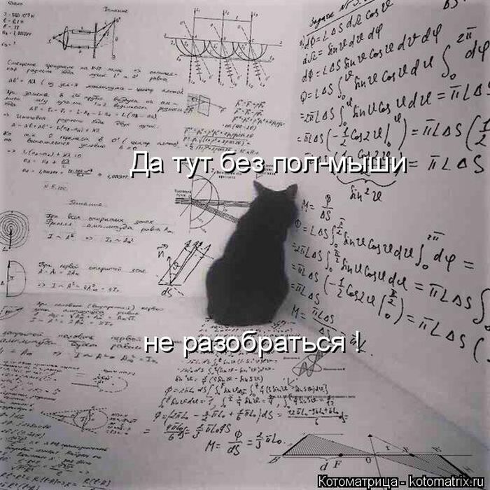 Лучшие котоматрицы недели