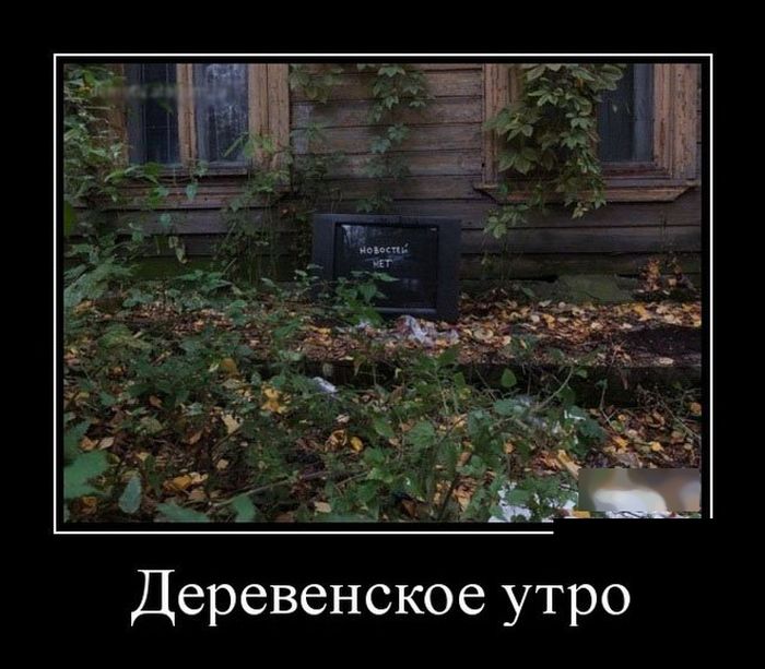 Демотиваторы